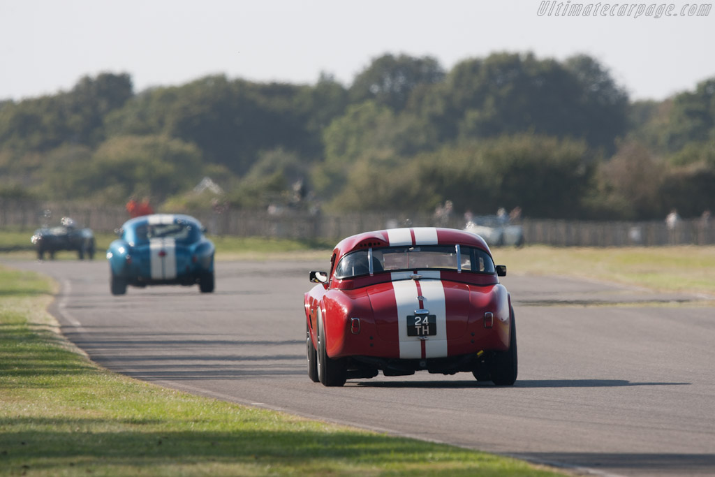 AC Shelby Cobra - Chassis: CSX2116  - 2012 Goodwood Revival