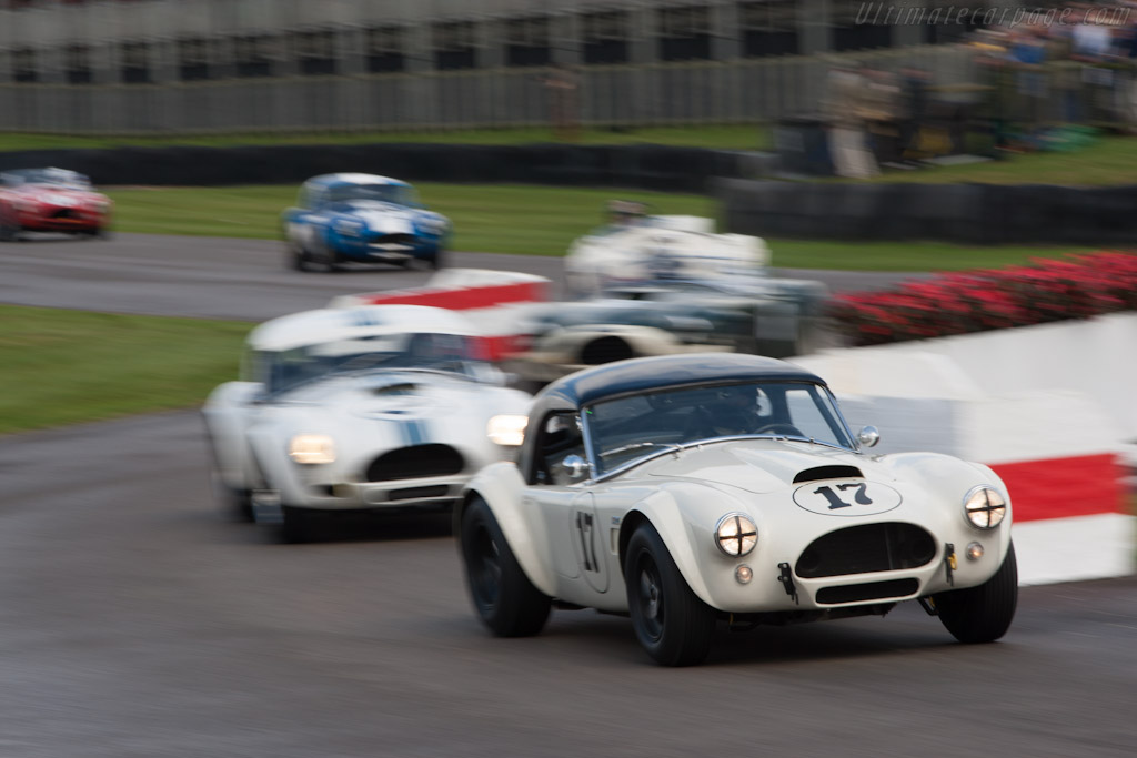 AC Shelby Cobra - Chassis: CSX2051  - 2012 Goodwood Revival