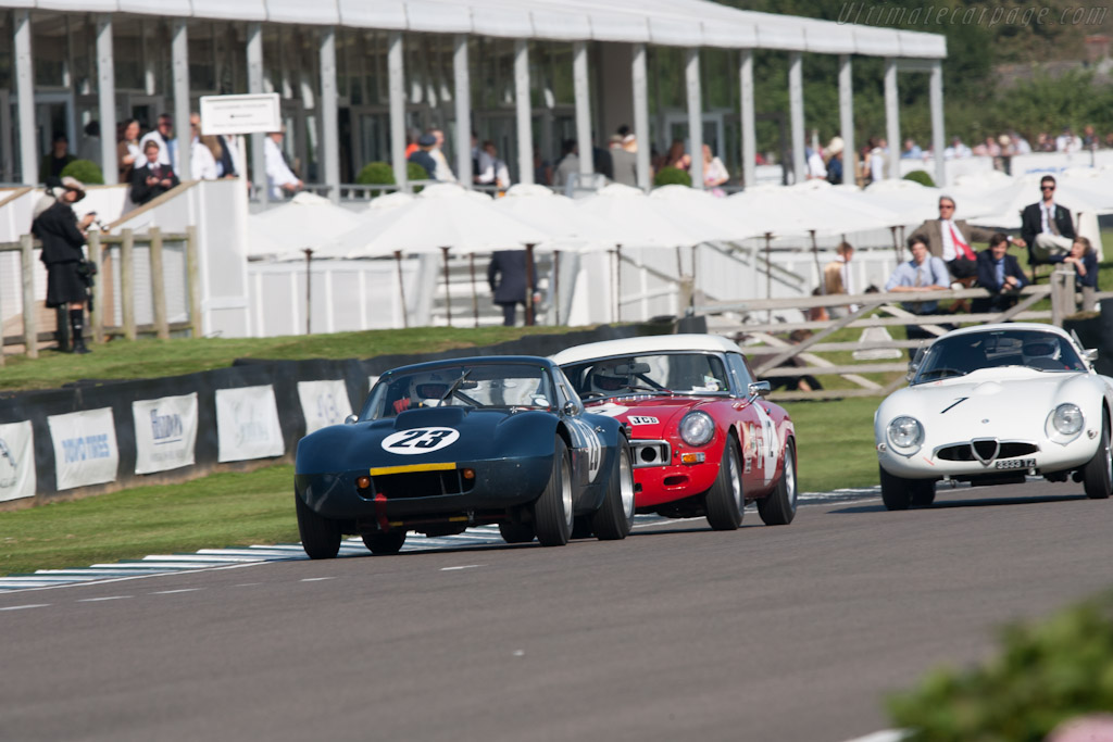 Triumph TR4 SLR - Chassis: SLR1  - 2012 Goodwood Revival