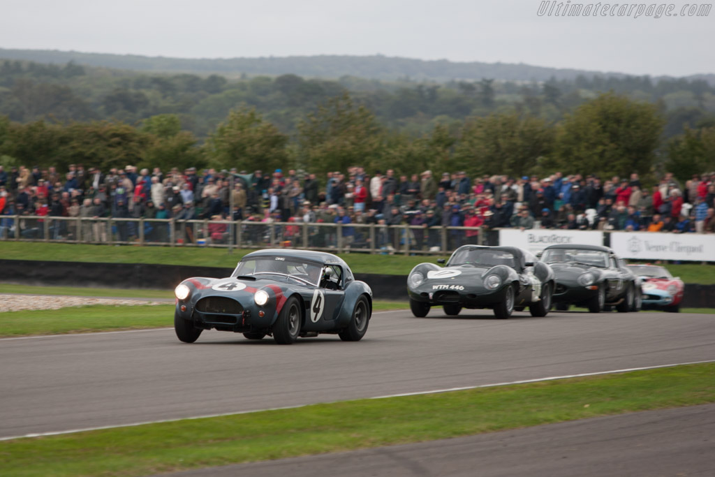 AC Shelby Cobra - Chassis: CSX2049 - Driver: David Hart - 2013 Goodwood Revival