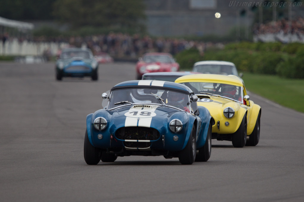 AC Shelby Cobra - Chassis: CSX2153 - Driver: Marc Devis - 2013 Goodwood Revival