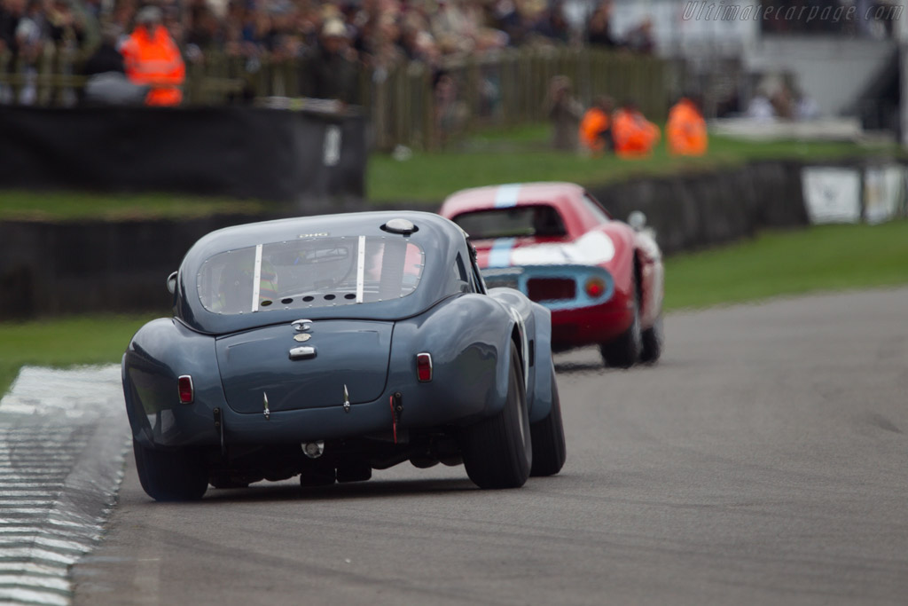 AC Shelby Cobra - Chassis: CSX2049 - Entrant: David Hart - Driver: Tom Coronel - 2013 Goodwood Revival