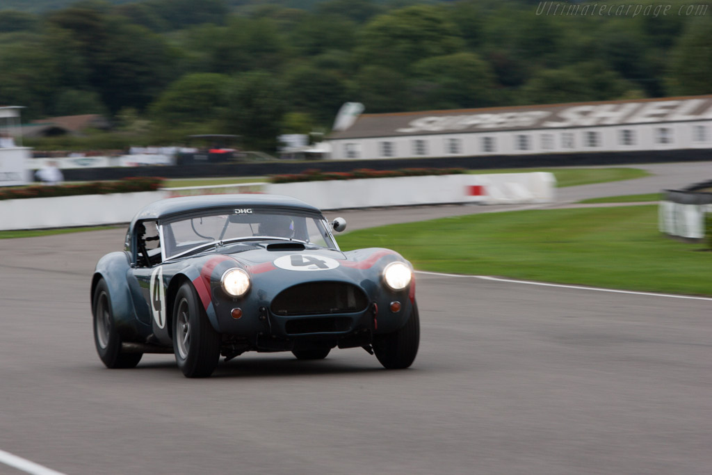 AC Shelby Cobra - Chassis: CSX2049 - Driver: David Hart - 2013 Goodwood Revival