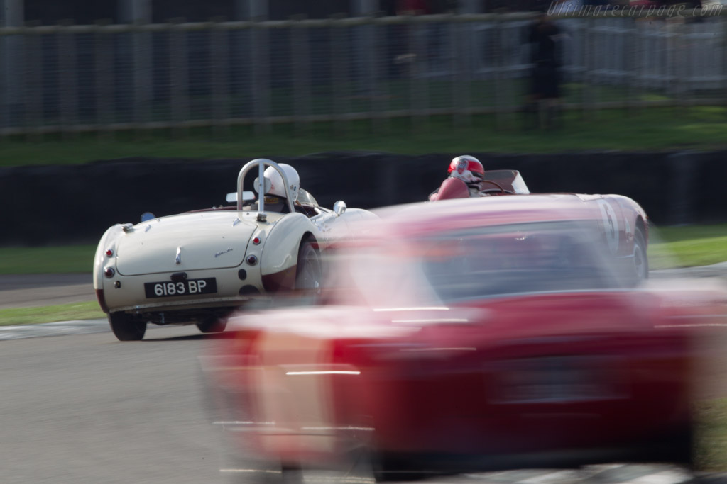 Austin Healey 100/6 - Chassis: BN6/2497 - Entrant: Caroline Andreanoff - Driver: Rick Haythornthwaite - 2013 Goodwood Revival