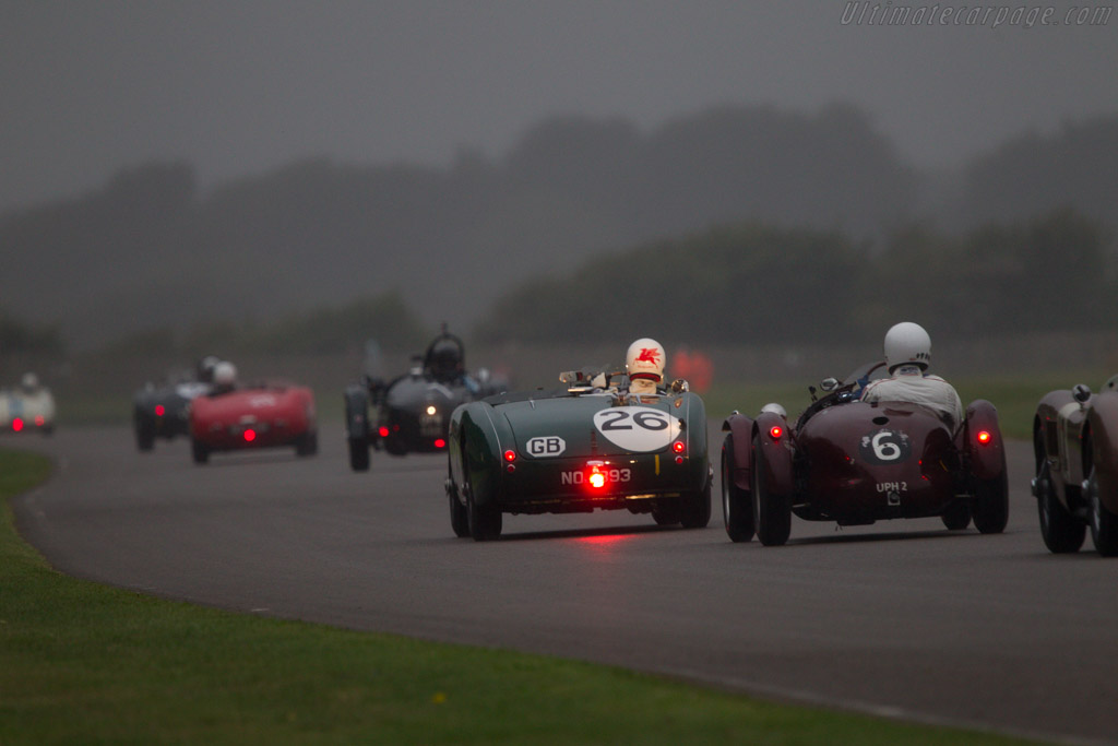 Austin Healey 100S - Chassis: SPL-226B - Entrant: Daniel Schlatter - Driver: Daniel Schlatter / Mauro Pane - 2013 Goodwood Revival