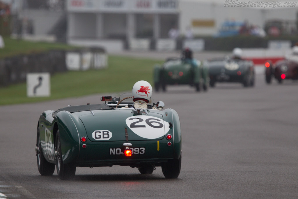 Austin Healey 100S - Chassis: SPL-226B - Entrant: Daniel Schlatter - Driver: Daniel Schlatter / Mauro Pane - 2013 Goodwood Revival