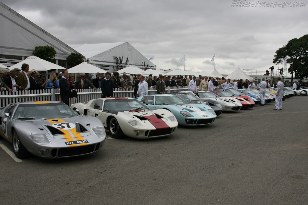 Ford GT40s - Chassis: GT40P/1041  - 2013 Goodwood Revival