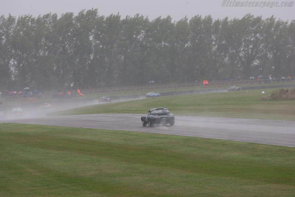 Jaguar E-Type - Chassis: 850011 - Entrant: Gary Pearson - Driver: Karun Chandhok - 2013 Goodwood Revival