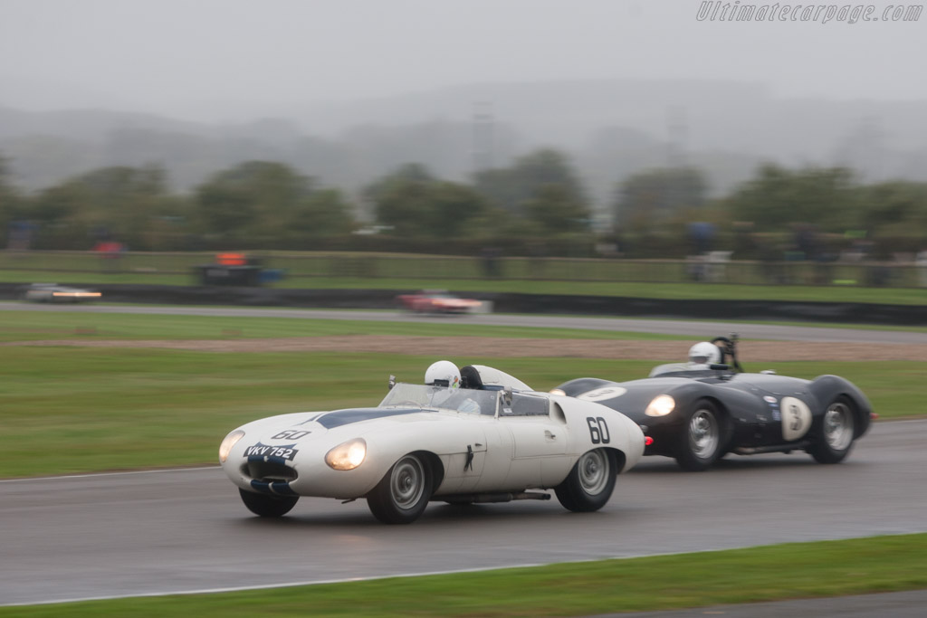Jaguar E2A - Chassis: E2A - Driver: Stefan Ziegler - 2013 Goodwood Revival