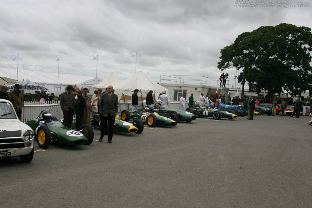 Lotus Line Up   - 2013 Goodwood Revival
