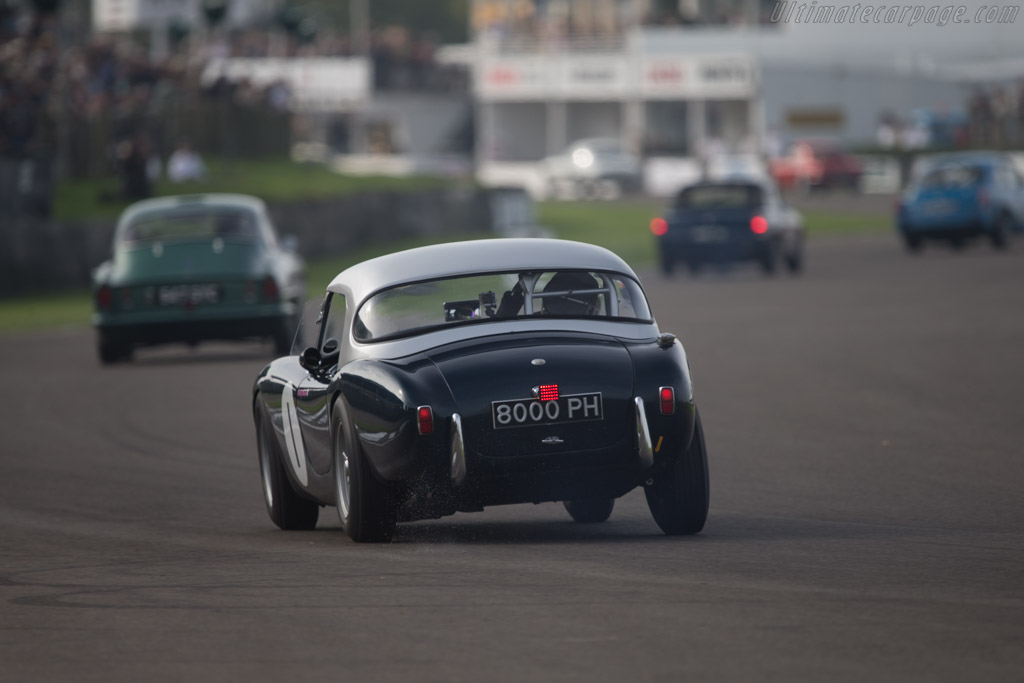AC Ace Ford  - Entrant: Ten Tenths Ltd - Driver: Holly Mason-Franchitti - 2014 Goodwood Revival