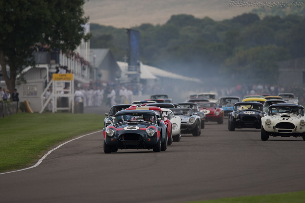 AC Shelby Cobra - Chassis: CSX2049 - Driver: David Hart - 2014 Goodwood Revival