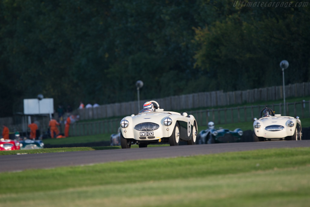 Austin Healey 100S - Chassis: AHS 3702 - Entrant: Peter Thornton - Driver: Andrian Willmott - 2014 Goodwood Revival
