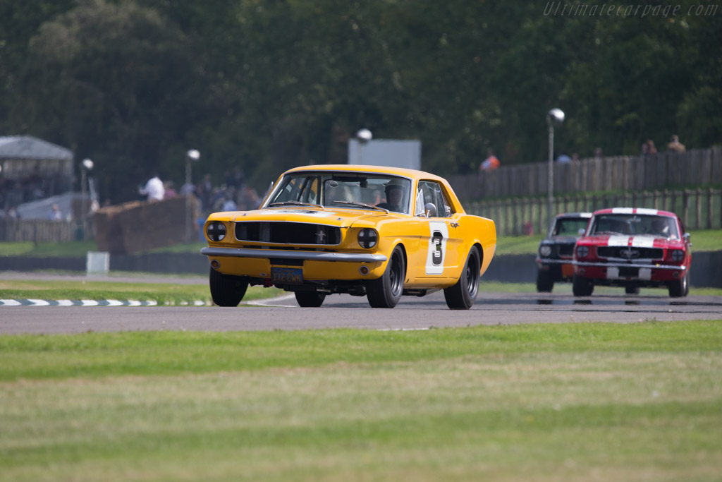 Ford Mustang  - Driver: Peter Hallford / Jackie Oliver - 2014 Goodwood Revival