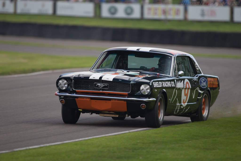 Ford Mustang - Chassis: 6R07150489 - Driver: Andrew Yool / Mike Jordan - 2014 Goodwood Revival