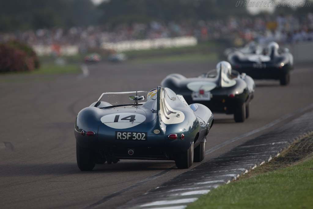 Jaguar D-Type Long Nose - Chassis: XKD 504 - Driver: Christian Glaesel - 2014 Goodwood Revival