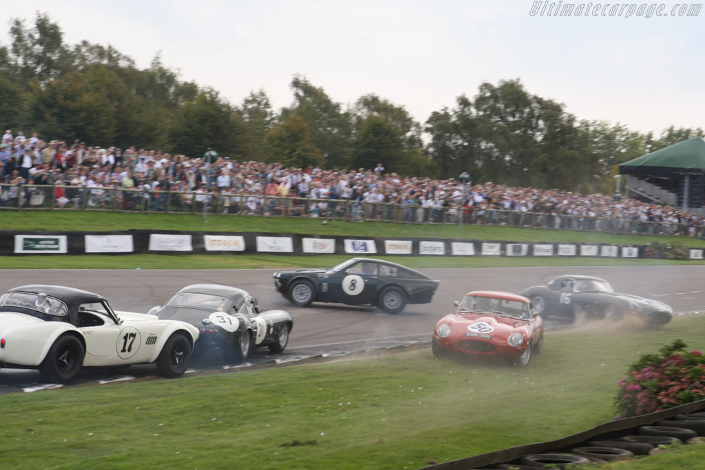 Jaguar E-Type Semi-Lightweight - Chassis: 850216 - Entrant: Michael Wilkinson - Driver: Robin Liddell / Matt Nicoll-Jones - 2014 Goodwood Revival