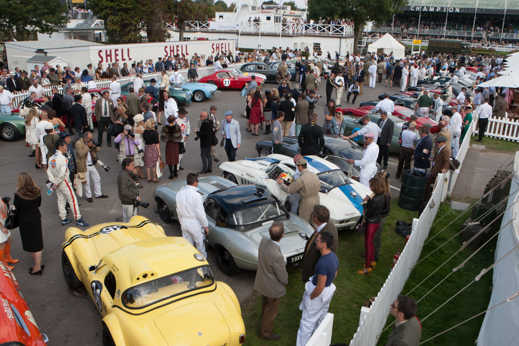 TT Paddock   - 2014 Goodwood Revival