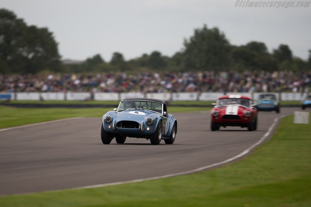 AC Shelby Cobra 289 - Chassis: COB6024 - Entrant: John Goodman - Driver: Arie Luyendyk / Rob Hall - 2015 Goodwood Revival