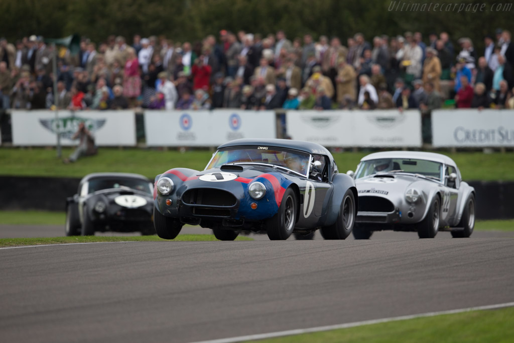 AC Shelby Cobra 289 - Chassis: CSX2049 - Entrant: David Hart - Driver: David Hart / Giedo van der Garde - 2015 Goodwood Revival