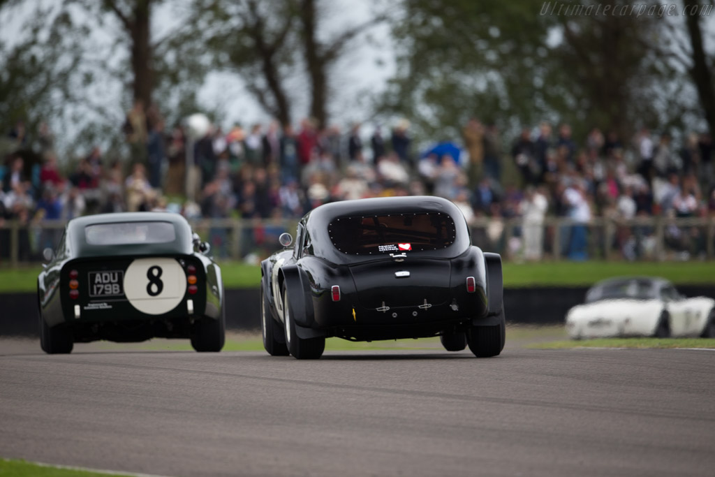 AC Shelby Cobra 289 - Chassis: CSX2127 - Entrant: Ludovic Caron - Driver: Ludovic Caron / Anthony Reid - 2015 Goodwood Revival