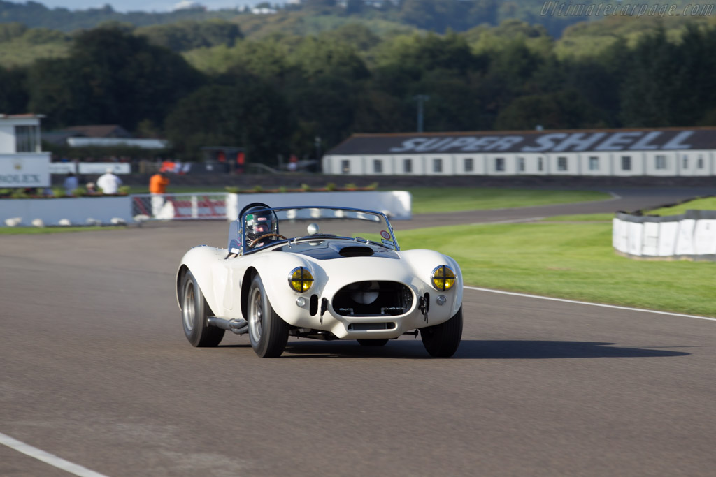 AC Shelby Cobra 427 - Chassis: CSX3006 - Entrant: Gary Bartlett - 2015 Goodwood Revival