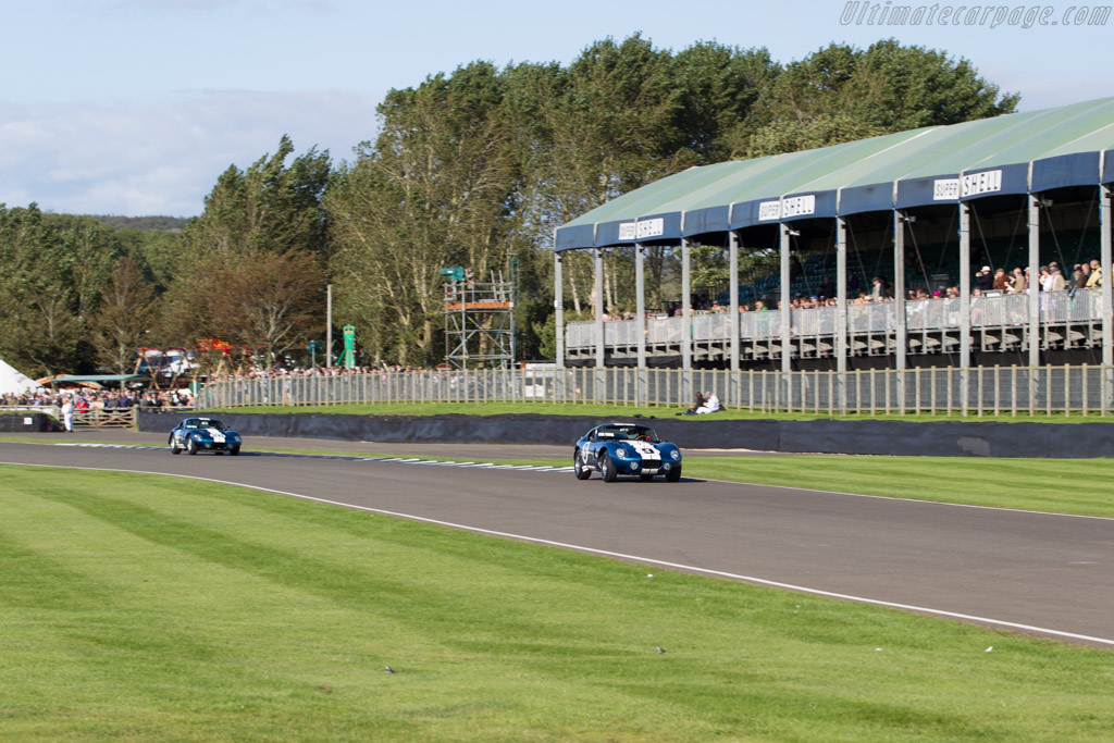 AC Shelby Cobra Daytona - Chassis: CSX2286 - Entrant: Robson Walton - 2015 Goodwood Revival