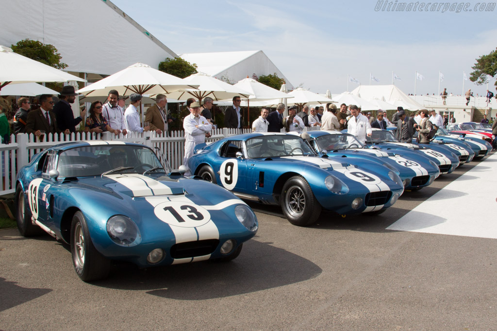 AC Shelby Cobra Daytona - Chassis: CSX2299 - Entrant: Gail Miller - 2015 Goodwood Revival