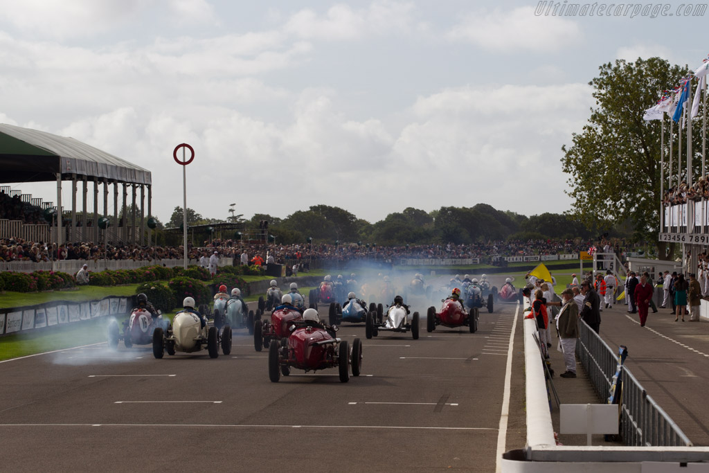 Alfa Romeo Tipo B - Chassis: 5007 - Driver: Tony Smith - 2015 Goodwood Revival