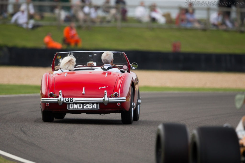 Austin Healey 100   - 2015 Goodwood Revival