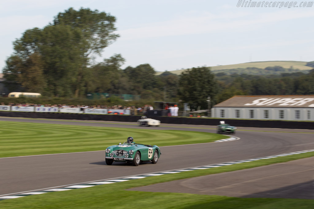 Austin Healey 100S - Chassis: SPL-225B - Entrant: Jonathan Turner - Driver: Jonathan Turner / Jonathan Procter - 2015 Goodwood Revival