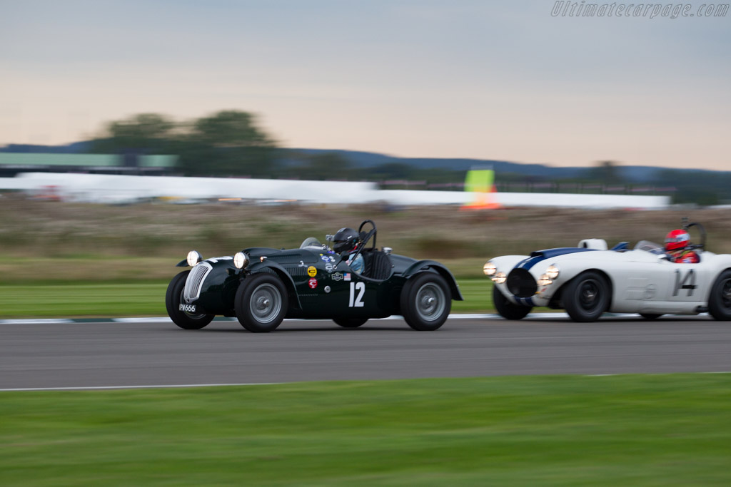 Frazer Nash Le Mans Replica - Chassis: 421/100/172 - Entrant: Jon Breslow - Driver: Jon Breslow / Najeeb Khan - 2015 Goodwood Revival