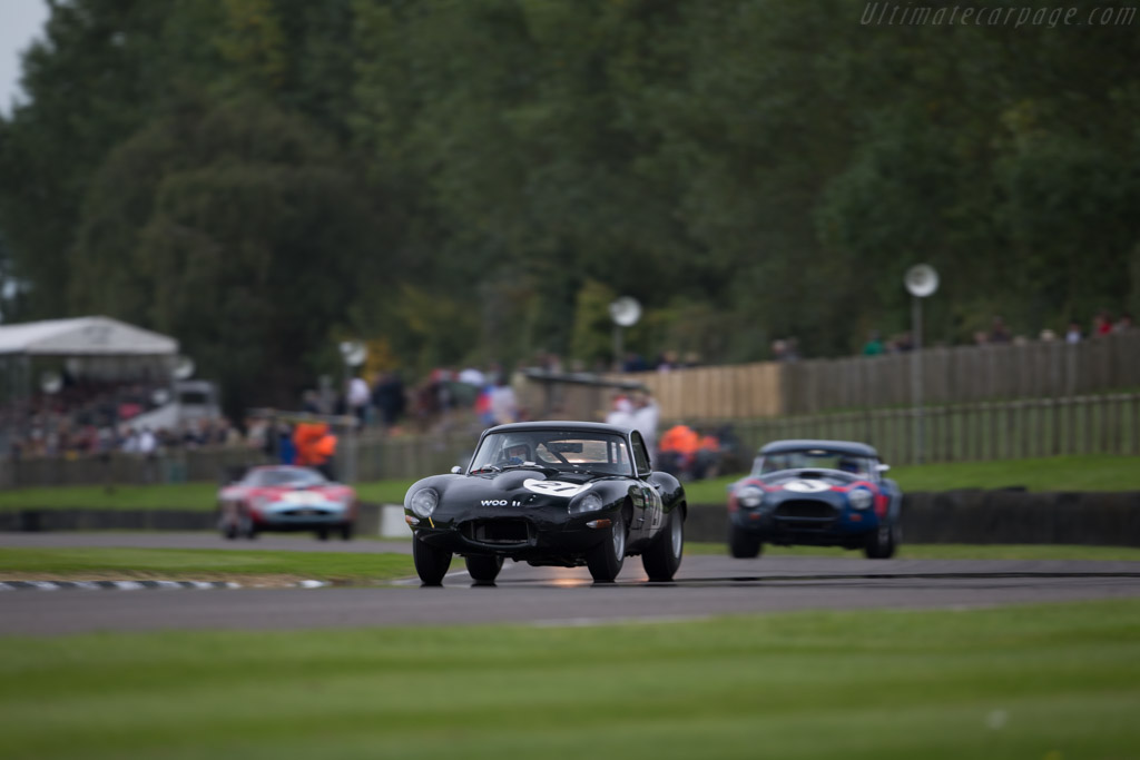 Jaguar E-Type - Chassis: 860675 - Entrant: Marc Devis - Driver: Marc Devis / Richard Attwood - 2015 Goodwood Revival