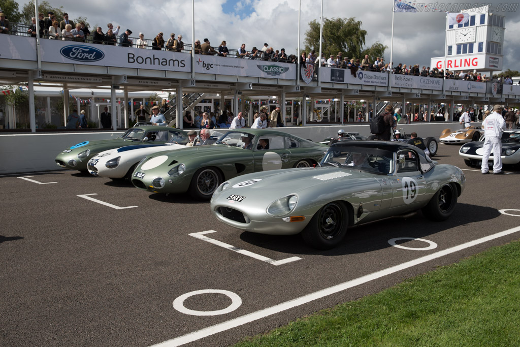 Jaguar E-Type - Chassis: 850010 - Entrant: Reial Auto Club Catalunya - 2015 Goodwood Revival