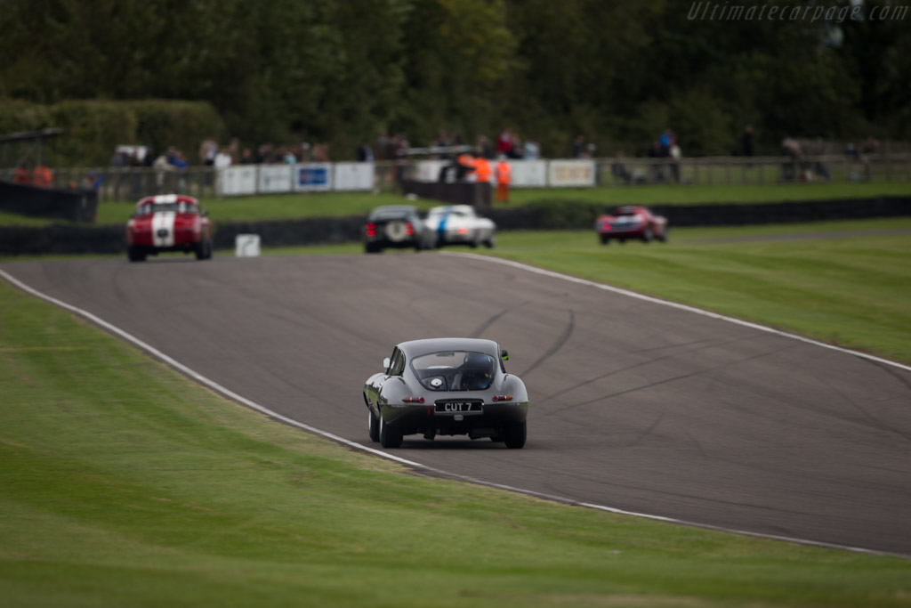 Jaguar E-Type FHC - Chassis: 860004 - Entrant: Richard Meins - Driver: Richard Meins / Danny Watts - 2015 Goodwood Revival
