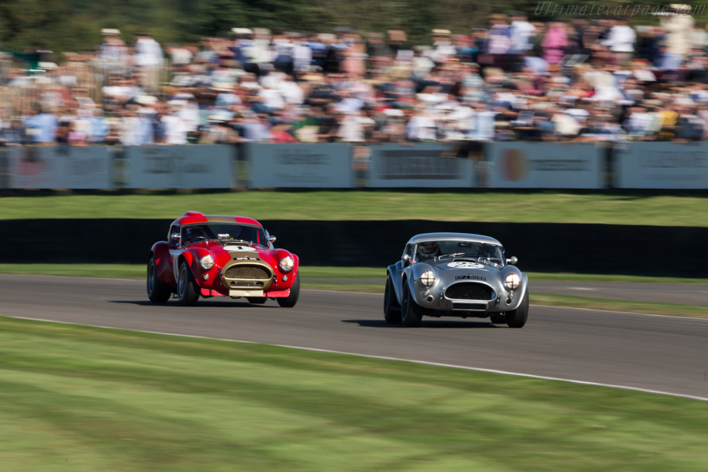 AC Shelby Cobra - Chassis: COB6041 - Driver: Michael Squire/Frank Stippler - 2016 Goodwood Revival