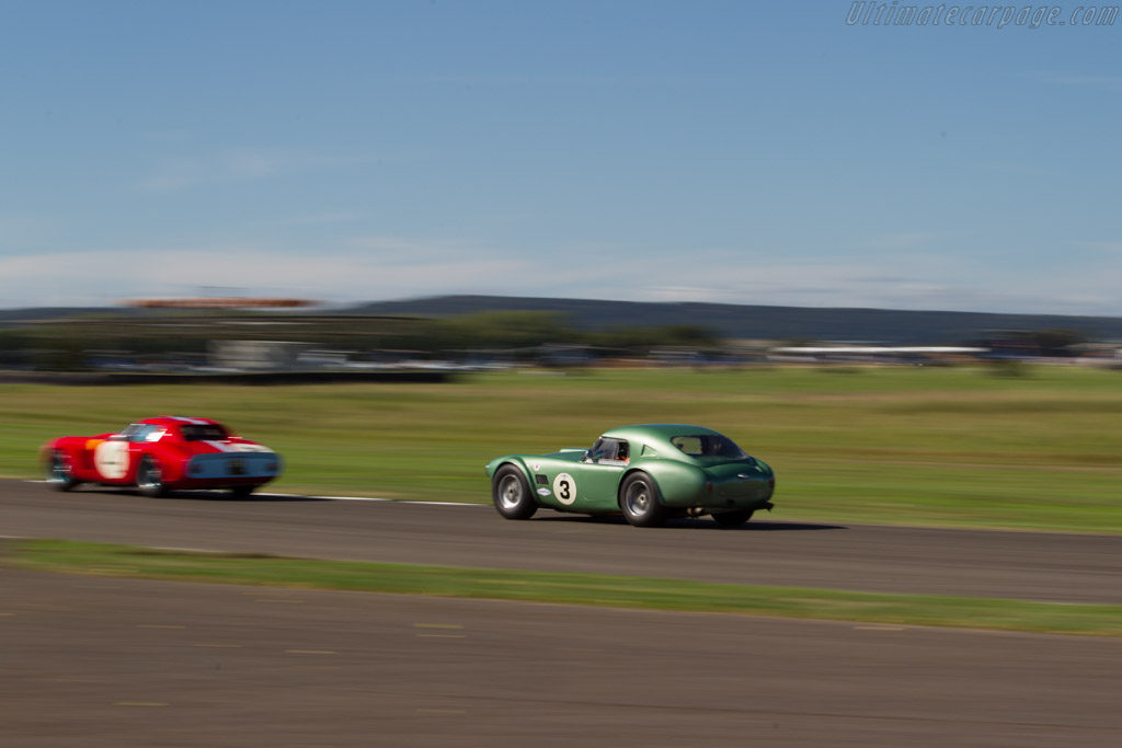 AC Shelby Cobra - Chassis: CSX2212 - Driver: Bill Shepherd/Andrew Jordan - 2016 Goodwood Revival