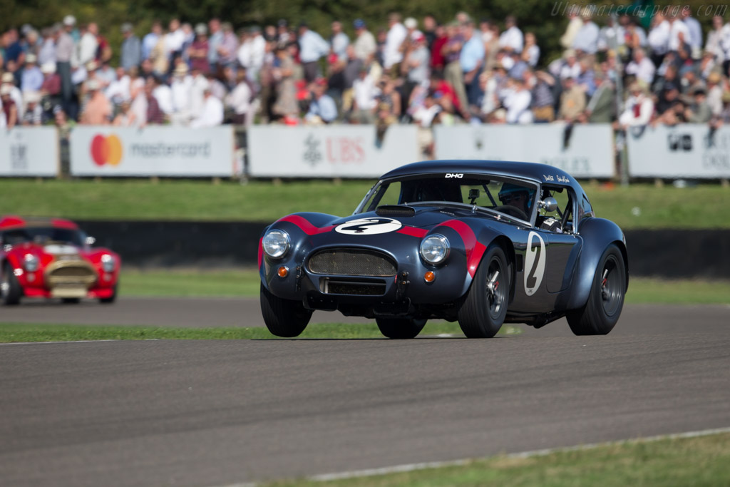 AC Shelby Cobra - Chassis: CSX2049 - Driver: David Hart/Guido van de Garde - 2016 Goodwood Revival