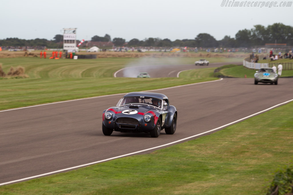 AC Shelby Cobra - Chassis: CSX2049 - Driver: David Hart / Guido van de Garde - 2016 Goodwood Revival