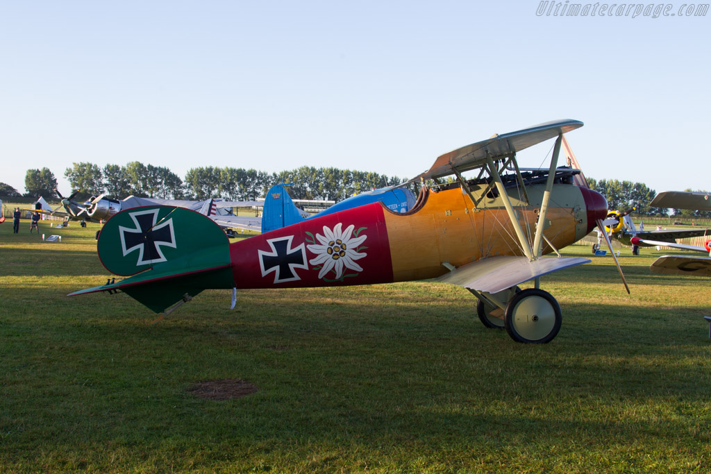 Albatross Dva   - 2016 Goodwood Revival