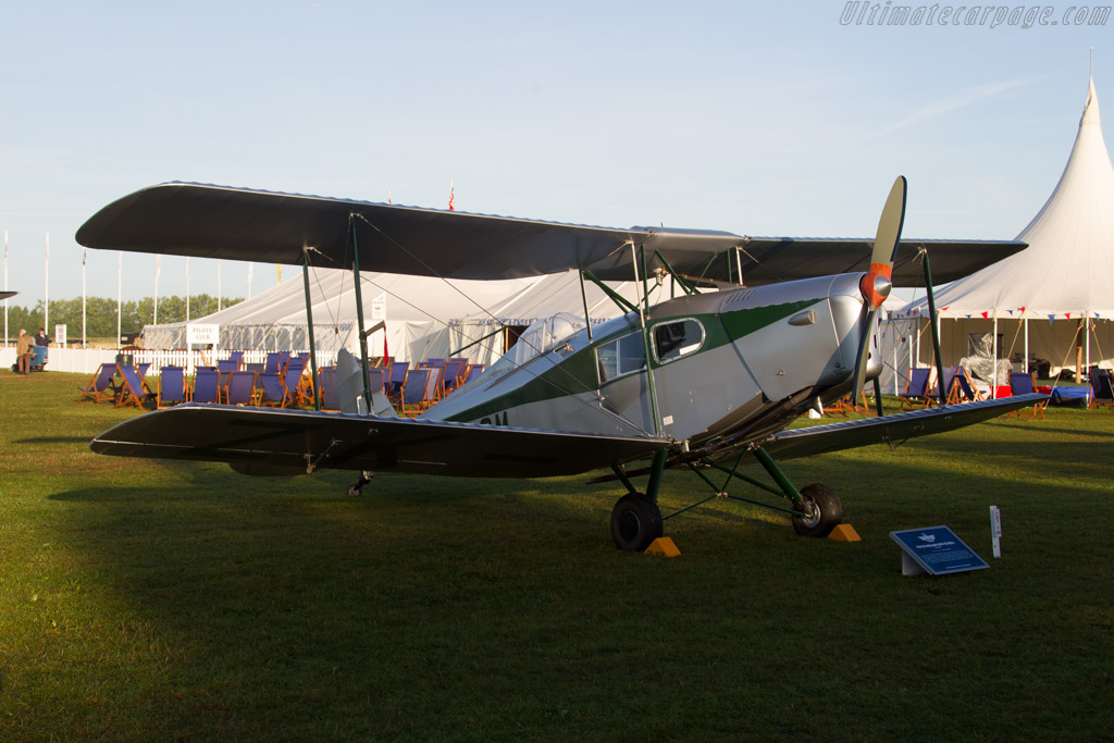 De Havilland DH60A   - 2016 Goodwood Revival