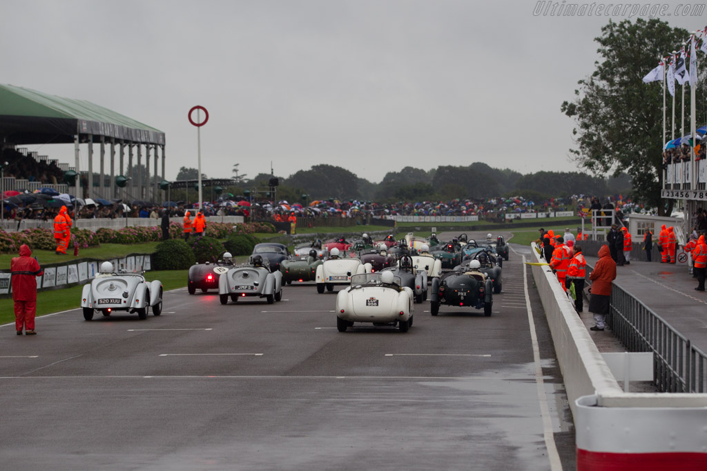 Frazer Nash Mille Miglia - Chassis: 421/200/162 - Driver: David Graus - 2016 Goodwood Revival