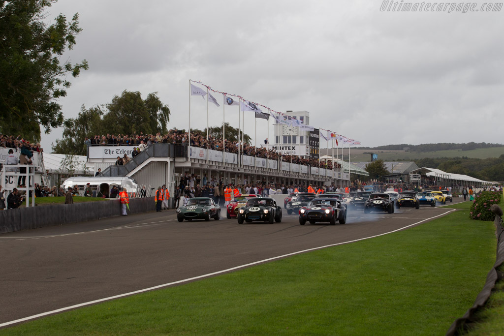 AC Cobra - Chassis: CSX2016 - Entrant: Jason Wright - Driver: Michael Gans / Andrew Wolfe - 2017 Goodwood Revival