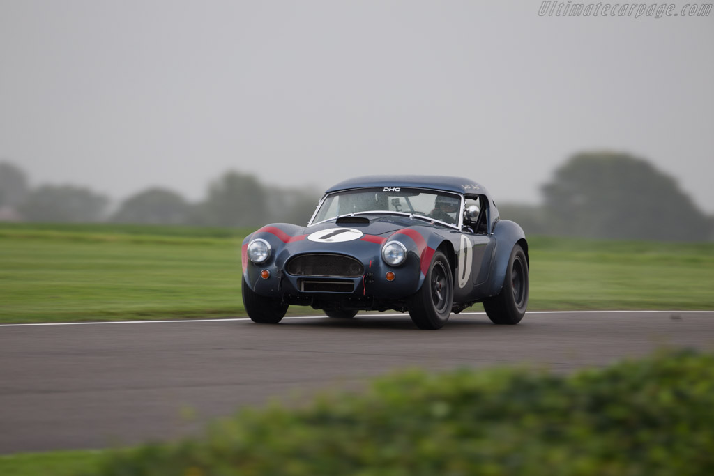 AC Cobra - Chassis: CSX2049 - Entrant: David Hart - Driver: David Hart / Olivier Hart - 2017 Goodwood Revival