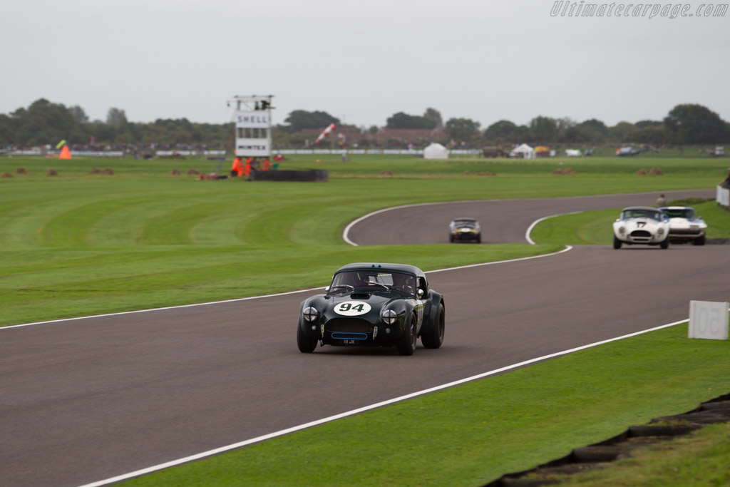 AC Cobra - Chassis: CSX2016 - Entrant: Jason Wright - Driver: Michael Gans / Andrew Wolfe - 2017 Goodwood Revival