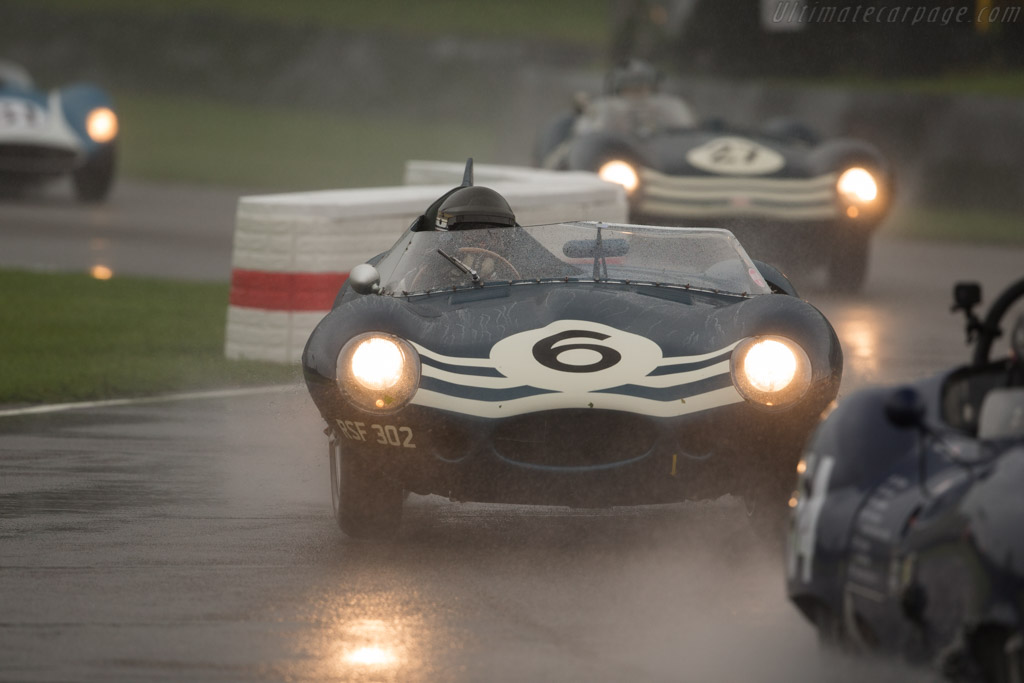 Jaguar D-Type Longnose - Chassis: XKD 504 - Entrant / Driver Christian Glaesel - 2017 Goodwood Revival