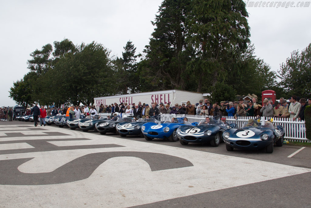 Jaguar D-Type Longnose - Chassis: XKD 606 - Entrant: Louwman Museum - 2017 Goodwood Revival