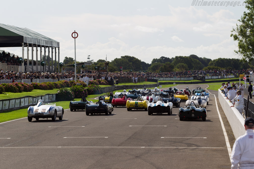 Porsche 550A - Chassis: 550A-0143 - Entrant / Driver Claudio Roddaro - 2017 Goodwood Revival