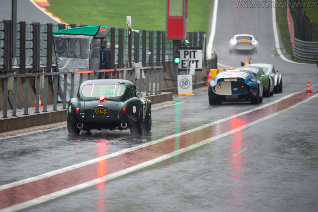 AC Shelby Cobra  - Driver: Nikolaus Ditting - 2024 Spa Classic