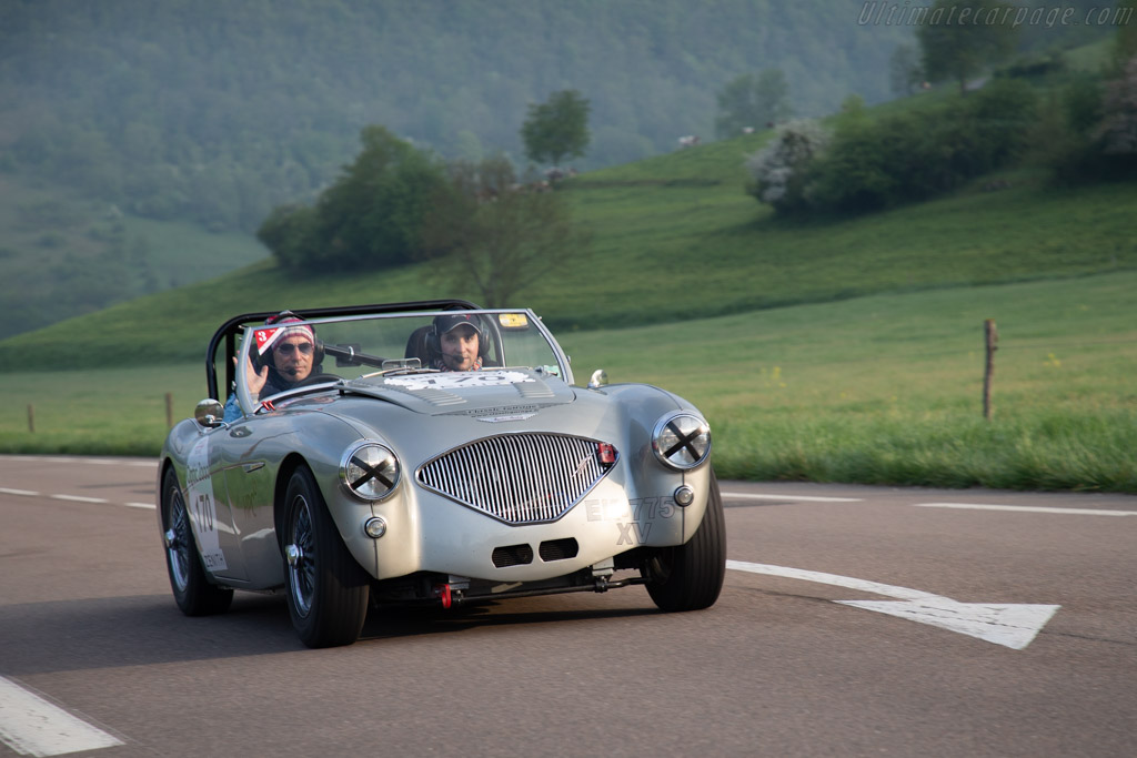 Austin Healey 100/4  - Chassis: BN2L229135 - Driver: Richard Hadjimegrian / Adrien Dutour - 2018 Tour Auto